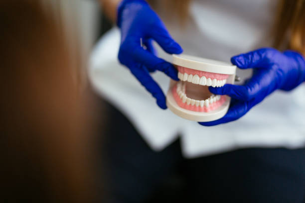 Colby, WI Holistic Dental Care Services Company